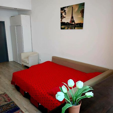 Garsoniera Centrul Bucurestiului Διαμέρισμα Εξωτερικό φωτογραφία