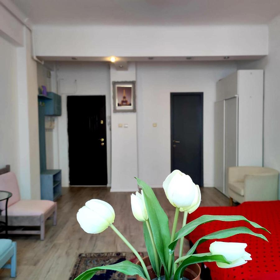 Garsoniera Centrul Bucurestiului Διαμέρισμα Εξωτερικό φωτογραφία